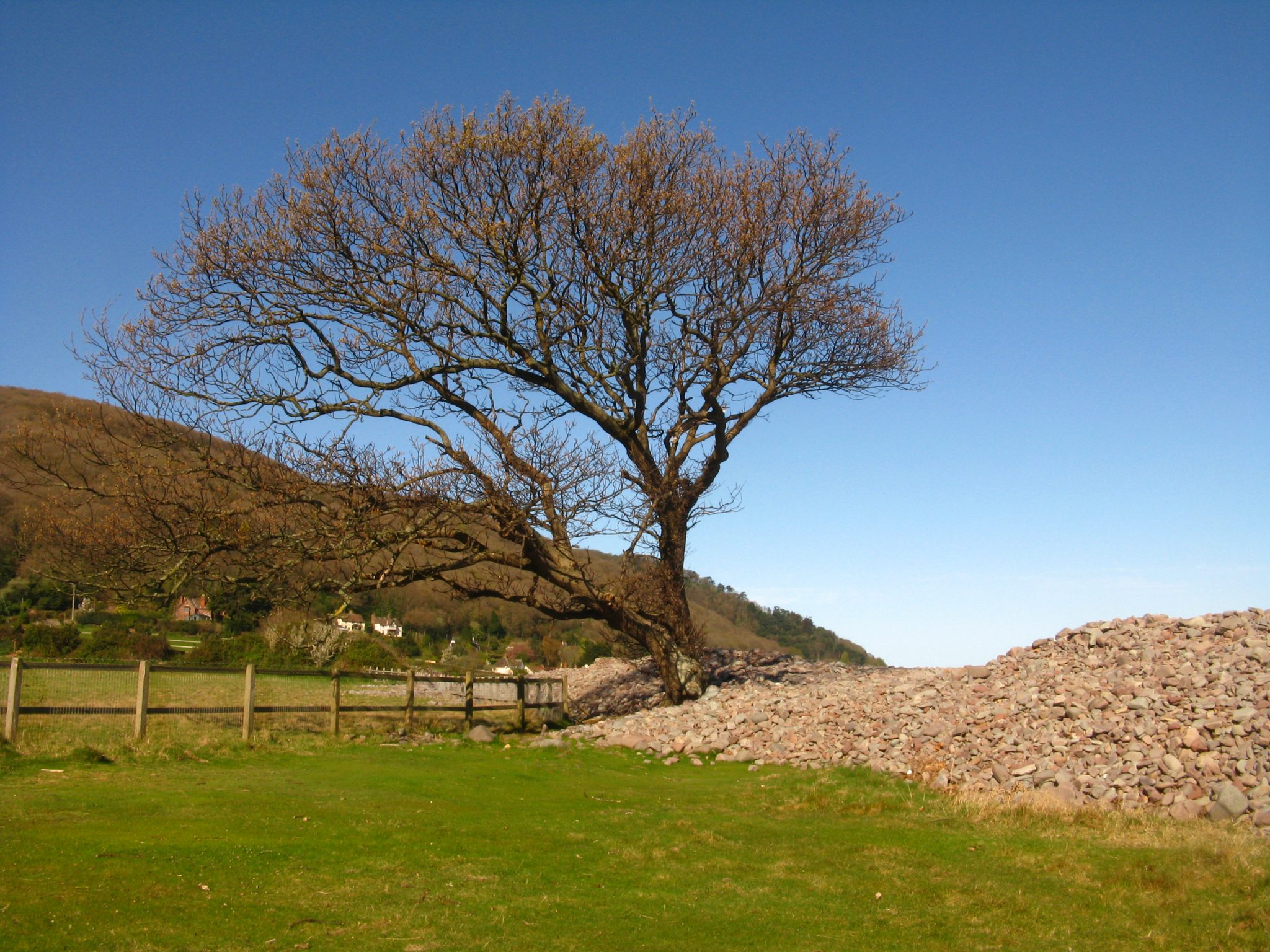 Porlock Ridge South West Coast Path: Porlock to Lynton – Luphen reborn