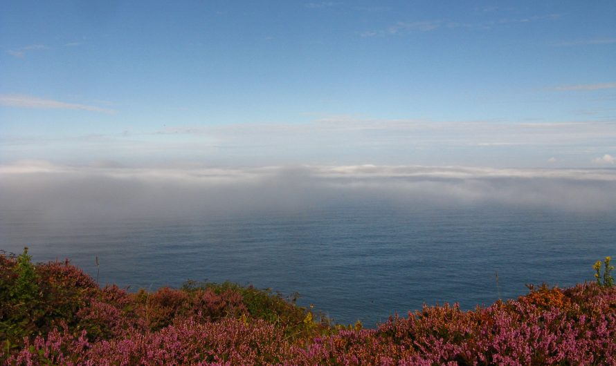 South West Coast Path: Perranporth to Portreath