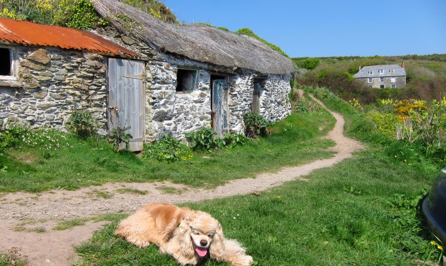 South West Coast Path: Penzance to Porthleven