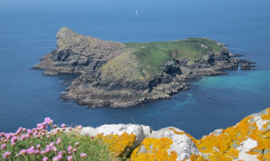 South West Coast Path: Porthleven to Lizard