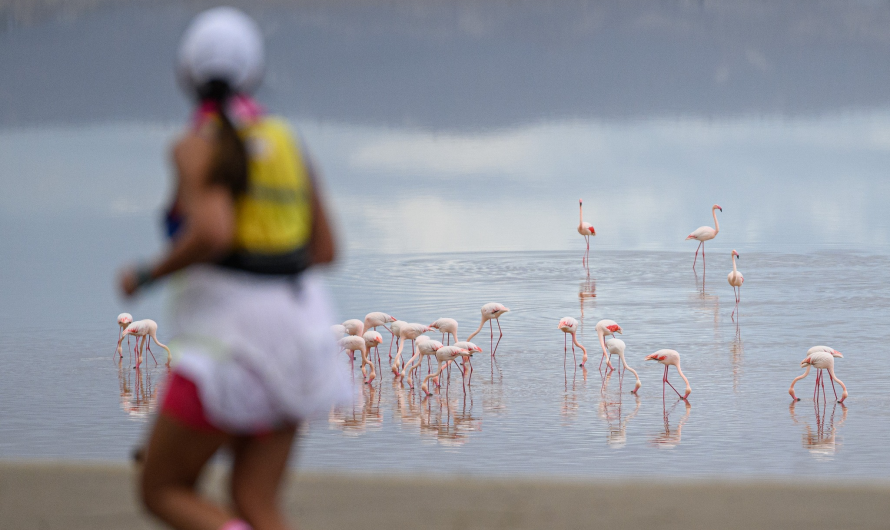 Cyprus, November 2024 including Larnaka Half-Marathon